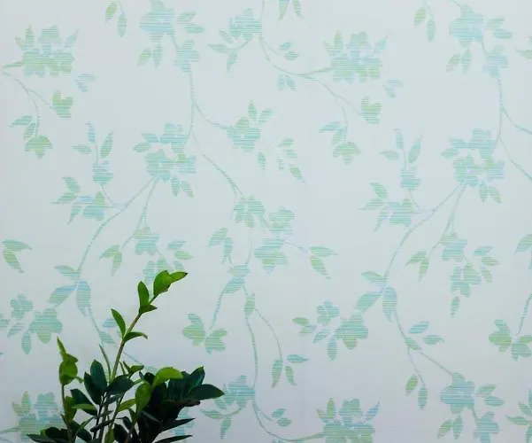 Slavica Daire Jagodina